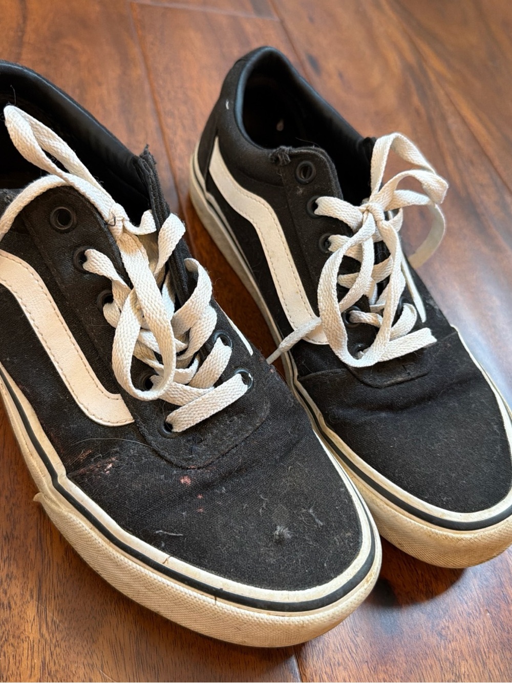 Vans Black and White Low-Top Skate Sneakers